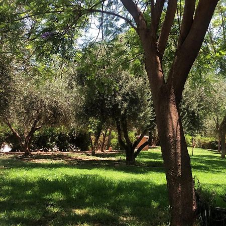 Palmeraie Village 2 - Cosi Appartement En Rez De Jardin Marrakesh Luaran gambar