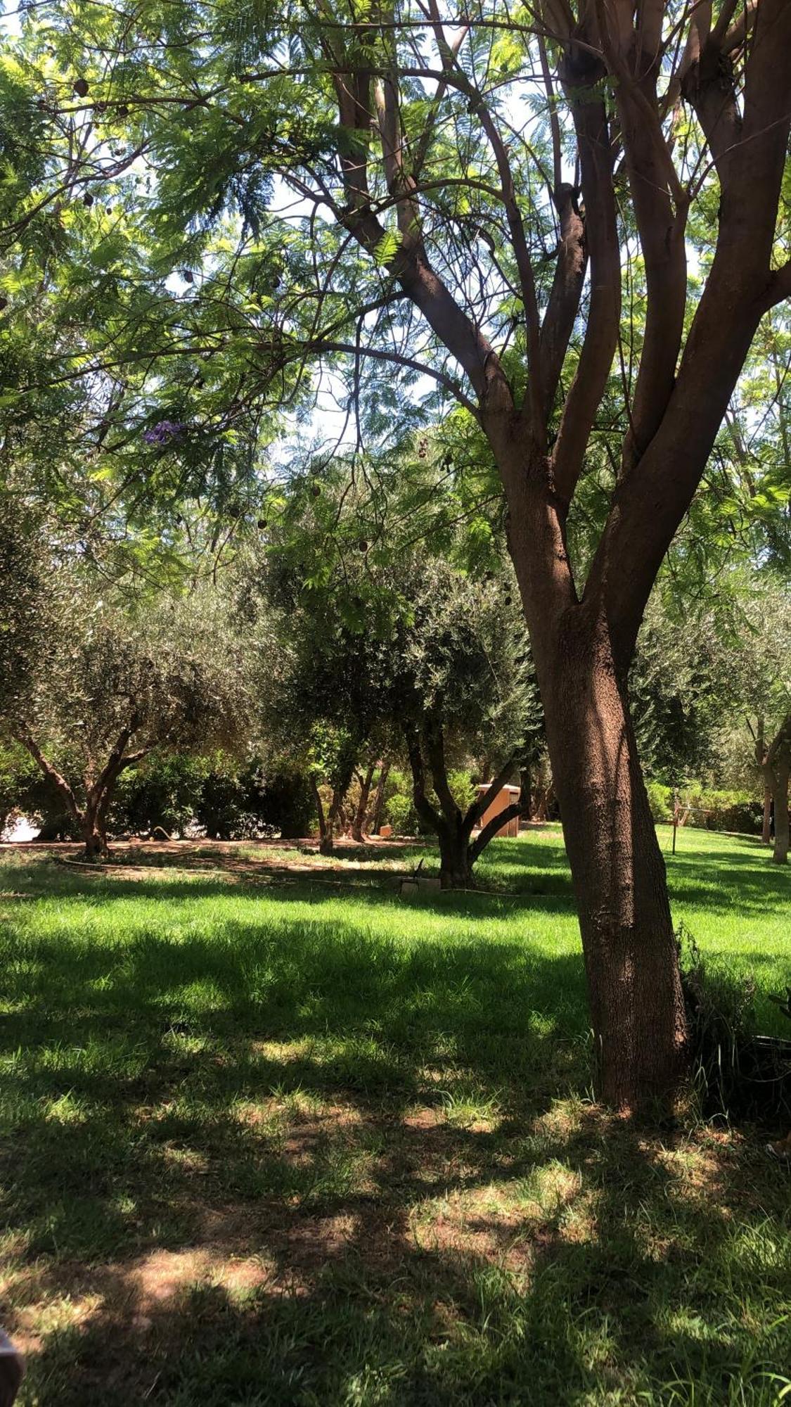 Palmeraie Village 2 - Cosi Appartement En Rez De Jardin Marrakesh Luaran gambar